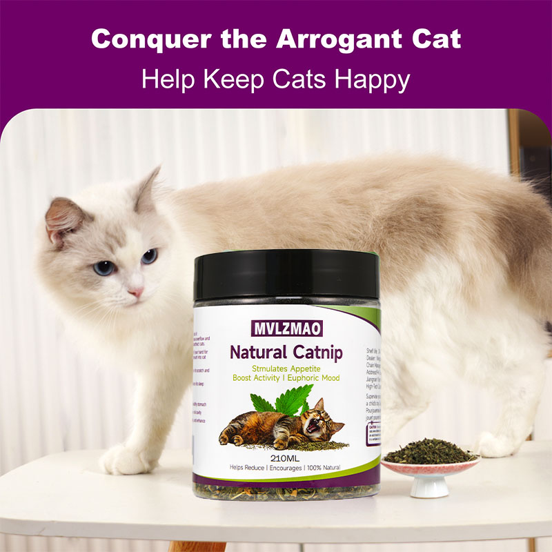 Cat Toys - Silvervine Catnip f - Herbal Wellness Products recension och pris