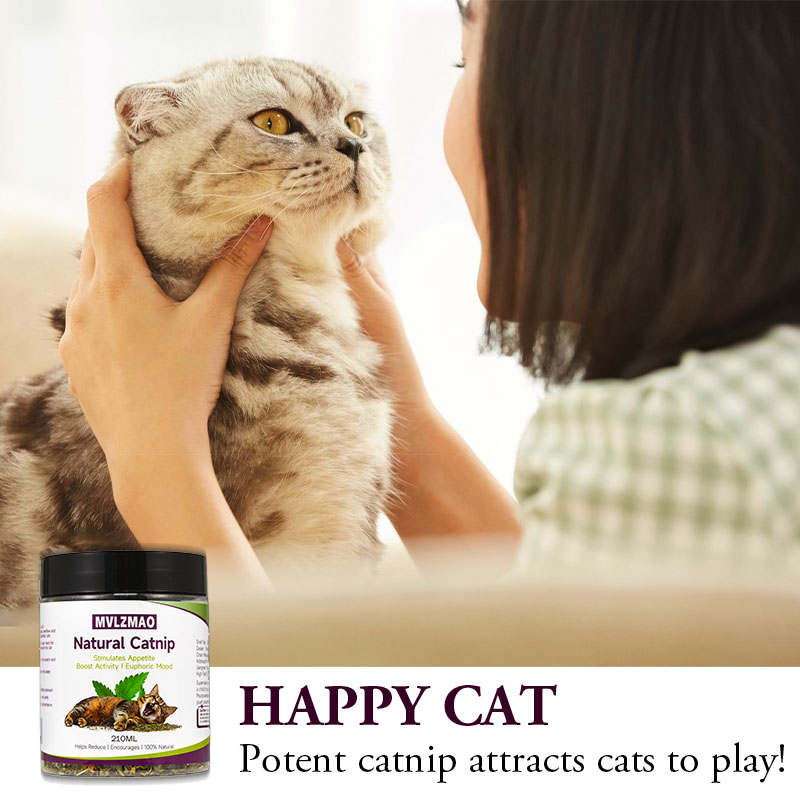 Cat Toys - Silvervine Catnip f - Herbal Wellness Products recension och pris